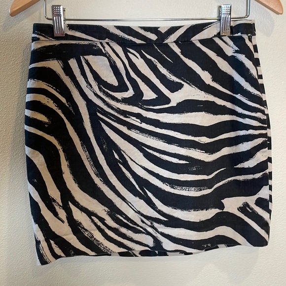 H&M Dresses & Skirts - H&M Zebra Print Mini Skirt with Zipper Up The Back, Canvas Type Material, Size 8
